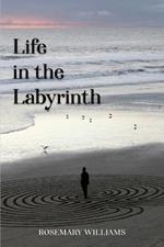 Life in the Labyrinth