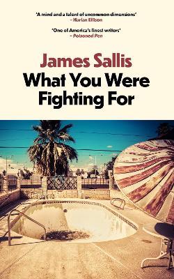 What You Were Fighting For - James Sallis - cover