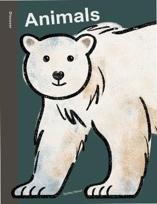 Spring Street Discover: Animals - Boxer Books - cover