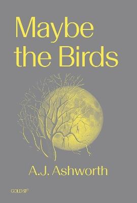 Maybe the Birds - A. J. Ashworth - cover