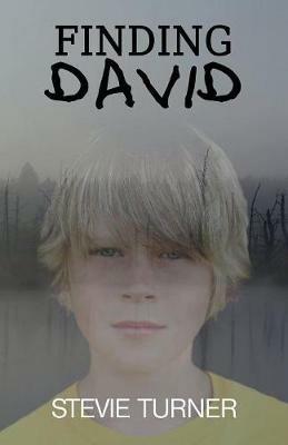 Finding David - Stevie Turner - cover