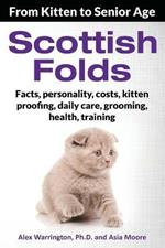 Scottish Folds: From Kitten to Senior Age