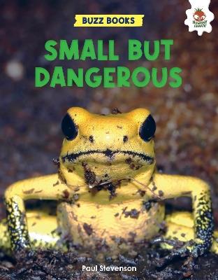 Small But Dangerous - Paul Stevenson - cover