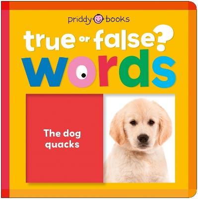 Words - Priddy Books - cover