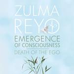 Emergence Of Consciousness