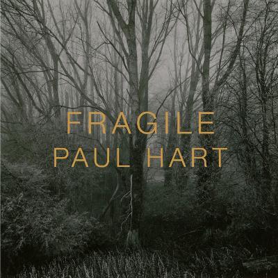 FRAGILE - cover
