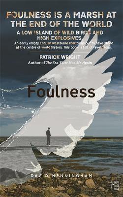 Foulness: a novel - David Henningham - cover