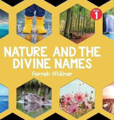 Nature and the Divine Names - Farrah Iftikhar - cover