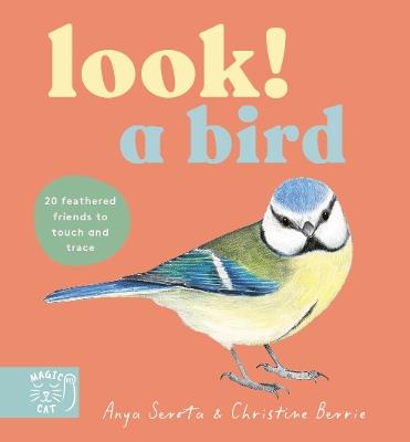 Look! A Bird! - Anya Serota - cover
