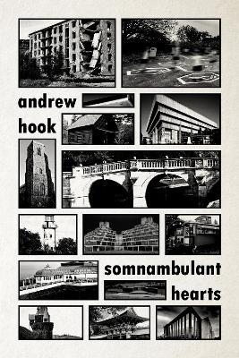 Somnambulant Hearts - Andrew Hook - cover