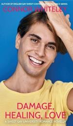 Damage, Healing, Love: A Sweet Gay University Romance Novella