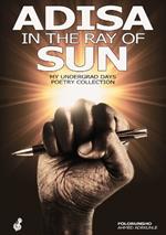 Adisa in the ray of sun: My Undergrad Days Poetry Collection: My Undergrad