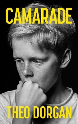 Camarade - Theo Dorgan - cover