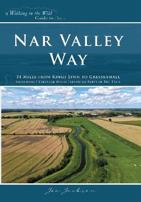 Nar Valley Way - Joe Jackson - cover
