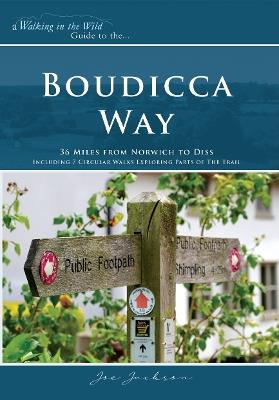 Boudicca Way - Joe Jackson - cover