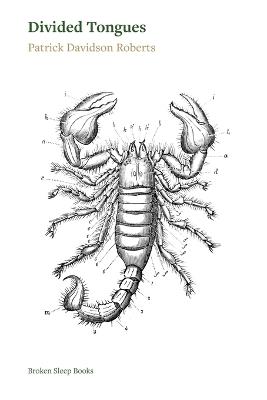 Divided Tongues - Patrick Davidson Roberts - cover