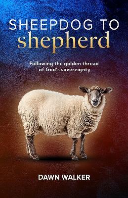 Sheepdog to Shepherd - Dawn Walker - cover