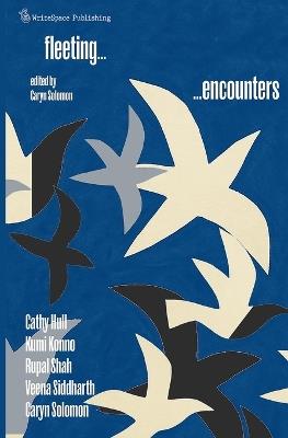 Fleeting Encounters - Caryn Solomon,Rupal Shah,Cathy Hull - cover