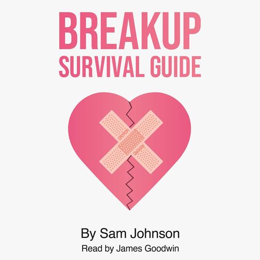 Breakup Survival Guide, The