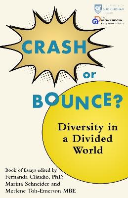 Crash or Bounce: Diversity in a Divided World - cover