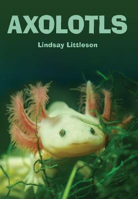 Axolotls - Lindsay Littleson - cover