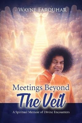 Veil Meetings Beyond the Veil - Wayne Eric Farquhar - cover