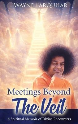 Veil Meetings Beyond the Veil - Wayne Eric Farquhar - cover