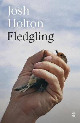 Fledgling - Josh Holton - cover