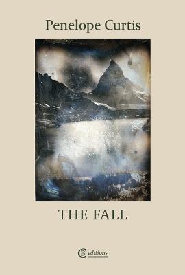 The Fall - Penelope Curtis - cover