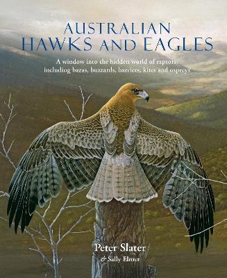 Australian Hawks and Eagles: A window into the hidden world of raptors, including bazas, buzzards harriers, kites and ospreys - Peter Slater,Sally Elmer - cover