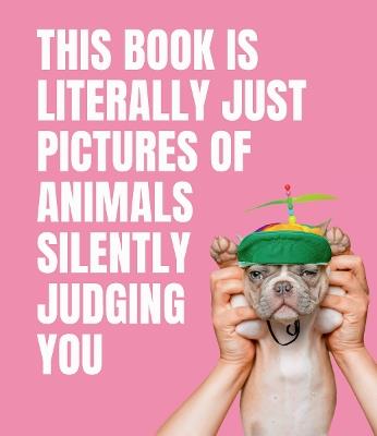 This Book is Literally Just Pictures of Animals Silently Judging You - Smith Street Books - cover