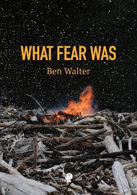 What Fear Was - Ben Walter - cover