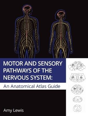Motor and Sensory Pathways of the Nervous System:: An Anatomical Atlas Guide - Amy Lewis - cover