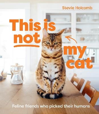 This is not my cat: Feline friends who picked their humans - Stevie Holcomb - cover