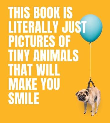 This Book Is Literally Just Pictures of Tiny Animals That Will Make You Smile - Smith Street Books - cover