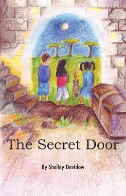 The Secret Door - Shelley Davidow - cover