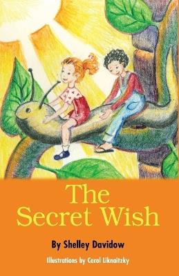 The Secret Wish - Shelley Davidow - cover