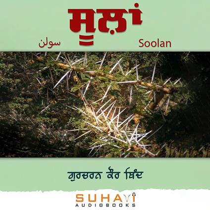 Soolan