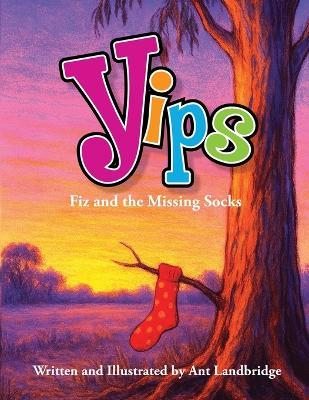 Yips Fiz and the Missing Socks - Anthony Landbridge - cover