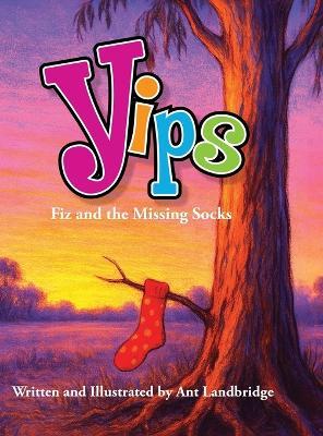 Yips Fiz and the Missing Socks - Anthony Landbridge - cover