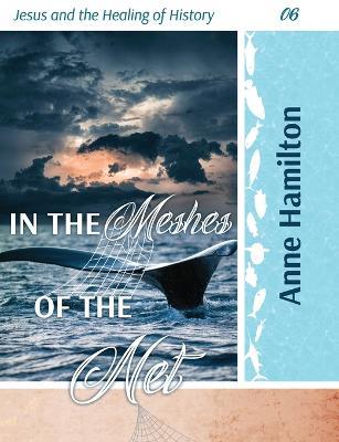 In the Meshes of the Net: Jesus and the Healing of History 06 - Anne Hamilton - cover