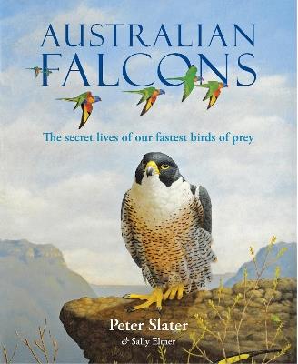 Australian Falcons: The secret lives of our fastest birds of prey - Peter Slater,Sally Elmer - cover