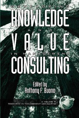 Developing Knowledge and Value in Management Consulting - cover