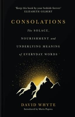 Consolations - The Solace, Nourishment and Underlying Meaning of Everyday Words - David Whyte - cover