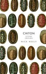 Chiton & Other Creatures