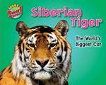 Siberian Tiger: The World's Biggest Cat