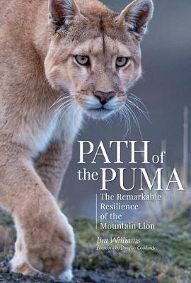 Path of the Puma: The Remarkable Resilience of the Mountain Lion - Jim Williams - cover