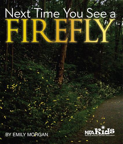 Next Time You See a Firefly - Morgan Emily - ebook