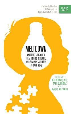 Meltdown: Asperger's Disorder, Challenging Behavior, and a Family's Journey Toward Hope - Jeff Krukar,Katie Gutierrez,James G Balestrieri - cover
