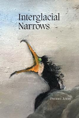 Interglacial Narrows - Pierre Joris - cover